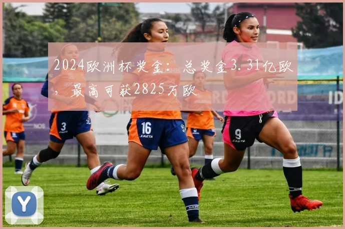 2024欧洲杯奖金：总奖金3.31亿欧，最高可获2825万欧