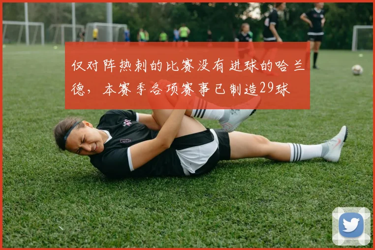 仅对阵热刺的比赛没有进球的哈兰德，本赛季各项赛事已制造29球