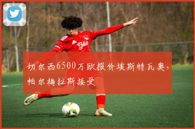 切尔西6500万欧报价埃斯特瓦奥，帕尔梅拉斯接受