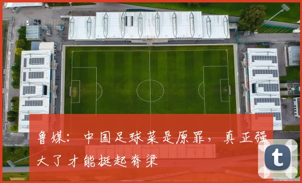 鲁媒：中国足球菜是原罪，真正强大了才能挺起脊梁