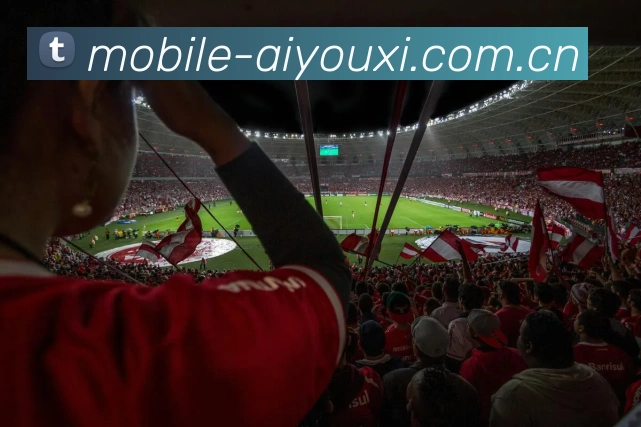 爱游戏体育服务体系